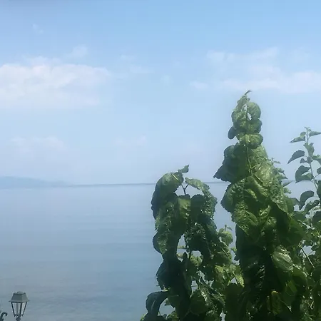 Sea Sound